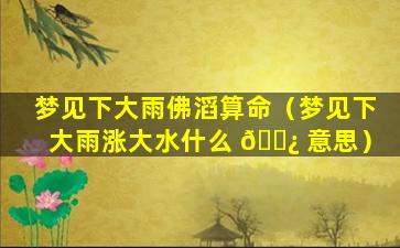 梦见下大雨佛滔算命（梦见下大雨涨大水什么 🌿 意思）